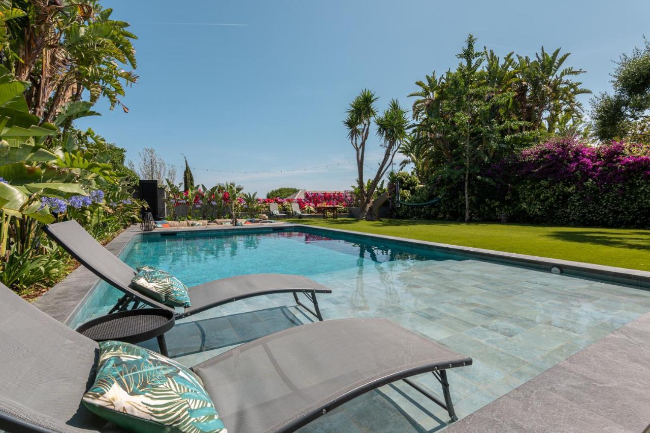 Barcelona'S Tropical Oasis Villa Sant Just Desvern Bagian luar foto